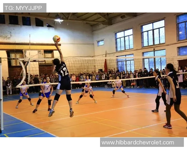 武汉排球队在城市联赛中的比赛经验与表现分析与点评