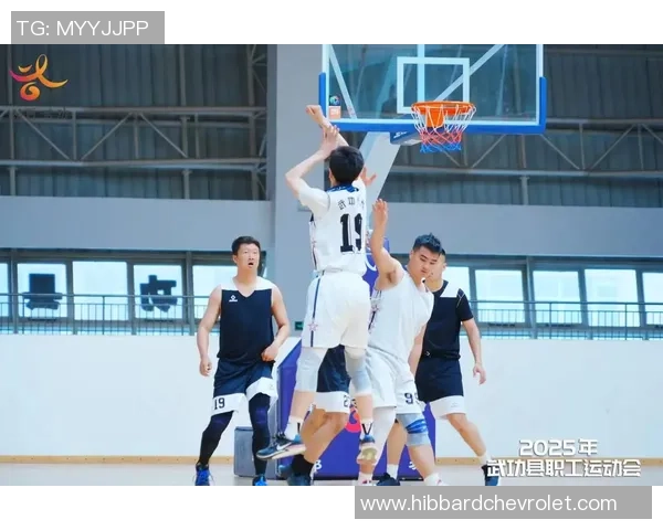 深度对话赵强篮球人生的起伏与坚持背后的故事