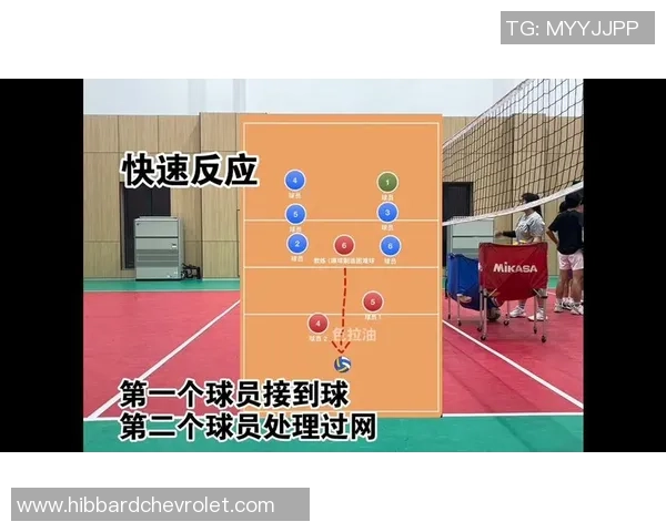 重庆排球队速度之谜:探索排球运动中的快速反应与战术运用 重庆排球队速度之谜:探索排球运动中的快速反应与战术运用