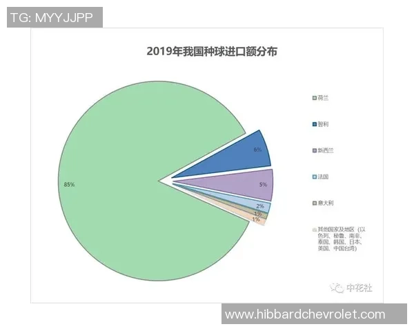 独家分析：深圳排球队的速度对比