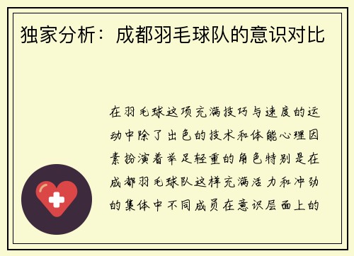 独家分析：成都羽毛球队的意识对比