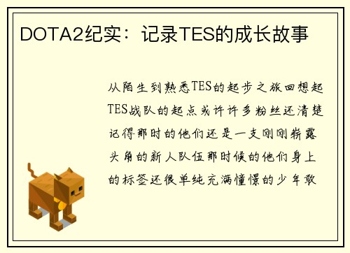 DOTA2纪实：记录TES的成长故事