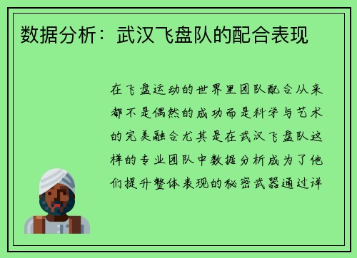 数据分析：武汉飞盘队的配合表现