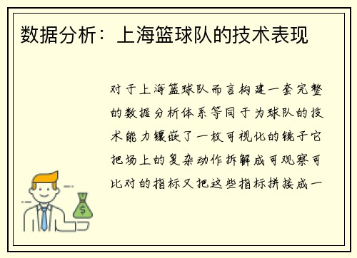 数据分析：上海篮球队的技术表现